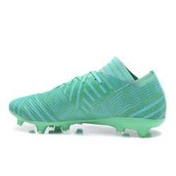 Adidas Nemeziz Messi 17.1 FG - Groen_3.jpg